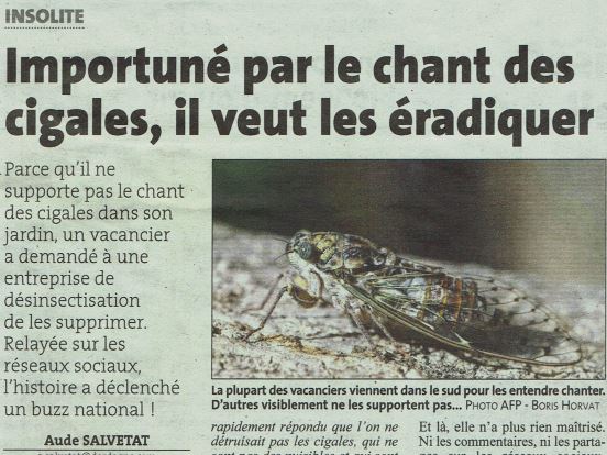 Article Dordogne libre