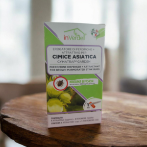 Phéromones piège punaise diabolique