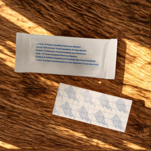 Plaques de glu pour mites vestimentaire